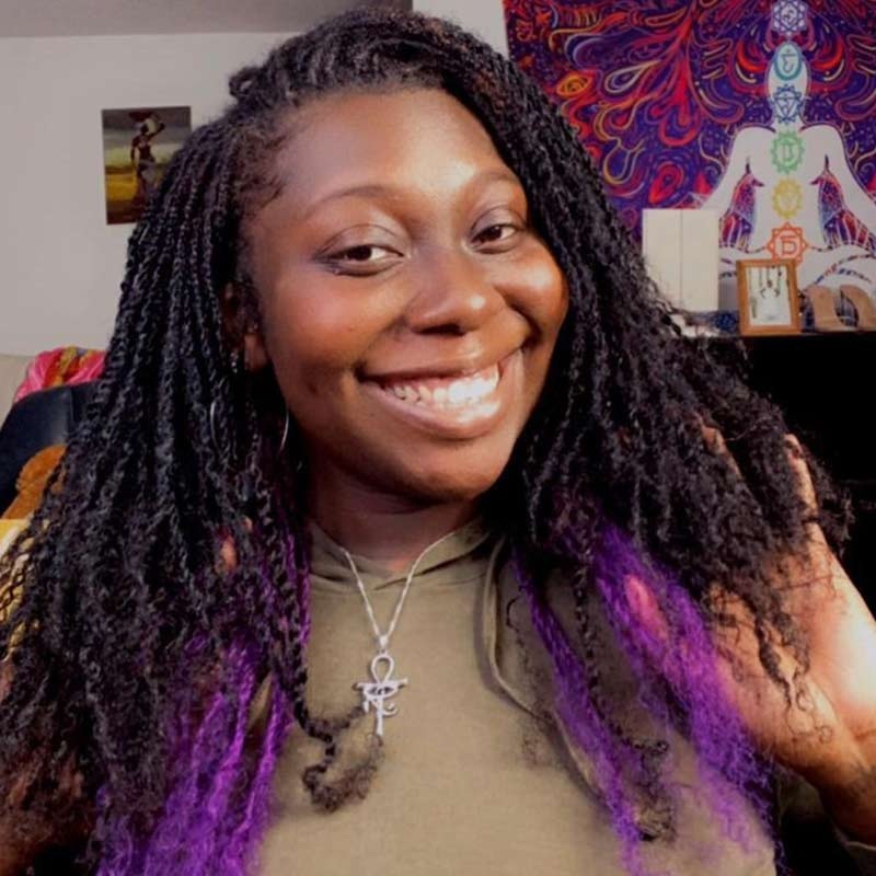 QVR #Purple+#1B Two Colors Afro Kinky Bulk Human Hair For Braiding DreadLock #Natural Black+#Purple 2 Packs* Color1 + 1 Pack* Color 2 10”