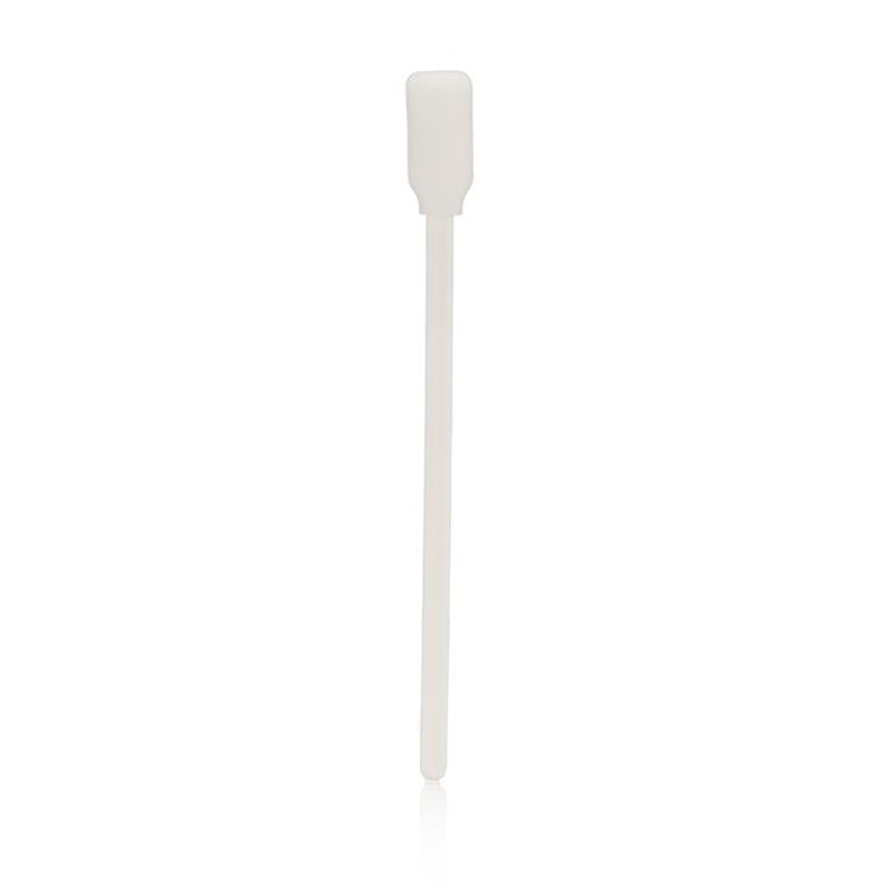 Sponge Brushes (12 Count) Sponge Brushes