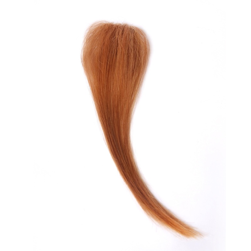 313A | Add-On Clip-in Human Hair Extension by Wig Pro 1